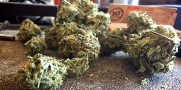Indigenous man says he can sell cannabis without B.C. licence because of UN declaration