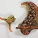 Heads up: Some sea slugs grow new bodies after decapitation