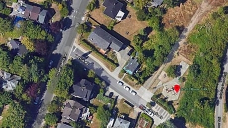 Police arrest man after gasoline poured on occupied tent in Victoria park