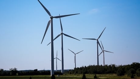 Canada's environmental workforce adds 34,600 jobs during pandemic: report