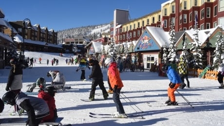 Restaurant owner apologizes for 'ignorant decision' to host rowdy party at B.C. ski resort