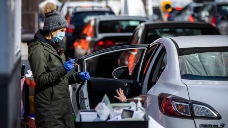 Infectious disease experts weigh in on B.C.'s high COVID-19 numbers