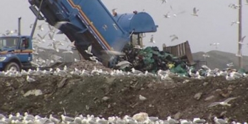 Federal government unveils plan to allow communities, industry to earn carbon offset credits