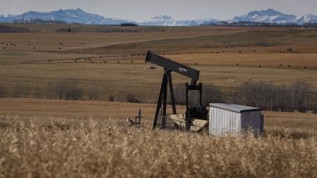 Alberta relaxed far more environmental rules than any other government in Canada during pandemic, study finds