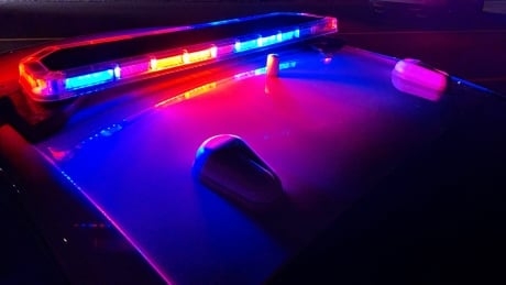 Woman pulled over by police impersonator on dark B.C. highway rattled by encounter