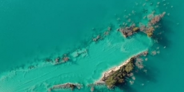 World Water Day 2021 highlights dire predictions of growing scarcity