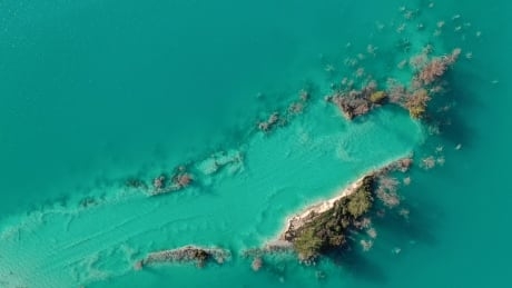 World Water Day 2021 highlights dire predictions of growing scarcity