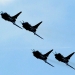 Taiwan: 'Record number' of China jets enter airspace