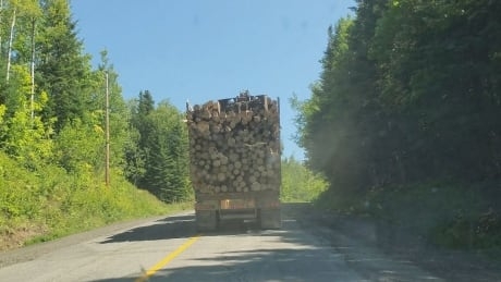 Canadian forestry companies in U.S. environmental group's report say criticisms oversimplified, misleading