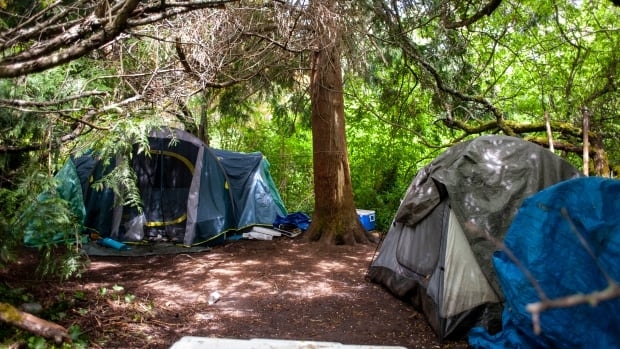 Man arrested after 15-year-old badly injured in attack at Victoria tent encampment