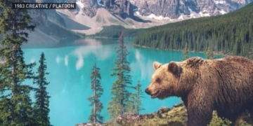 Musician records natural sounds from 7 continents for Earth Day