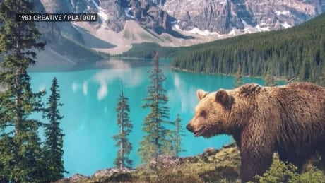 Musician records natural sounds from 7 continents for Earth Day