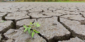 Climate change: G7 ministers agree new steps against fossil fuels