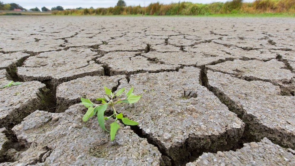 Climate change: G7 ministers agree new steps against fossil fuels