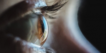 Algae proteins partially restore man's sight