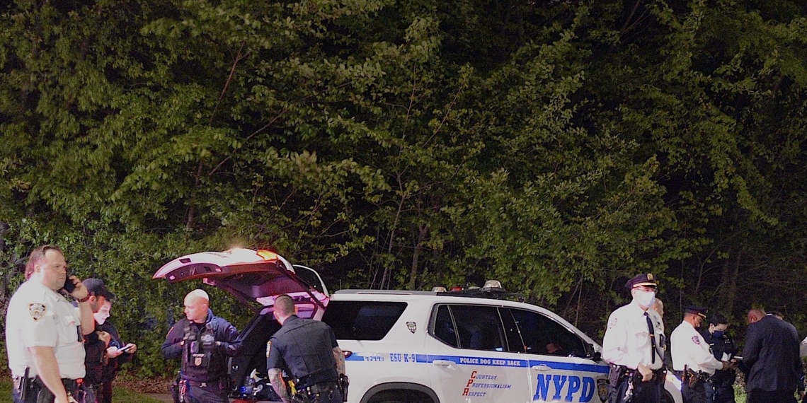 Creep with bizarre jewelry rapes woman in Central Park