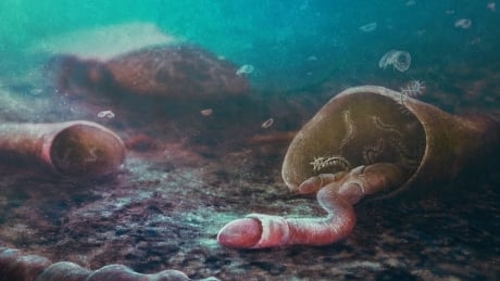 Rare fossils uncover ancient symbiosis between 2 species