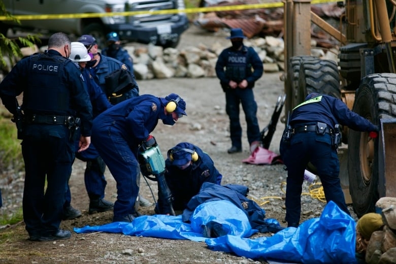 Photo of massive tree being hauled down Vancouver Island highway sparks global outrage