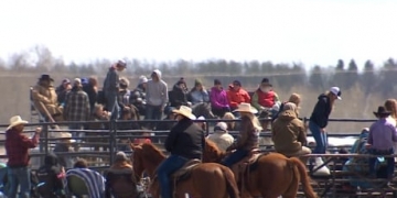Organizers of 'anti-lockdown' rodeo plead not guilty to violating health act, vow to hold more events