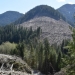 Old-growth logging approvals nearly doubled over the past year, report suggests