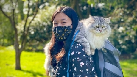 Why some pet owners are taking their felines on the cat walk — and why it's not as easy as it looks