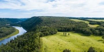 A win for wildlife: Red Deer sisters donate inherited land for nature sanctuary