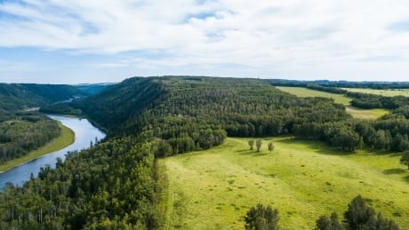 A win for wildlife: Red Deer sisters donate inherited land for nature sanctuary