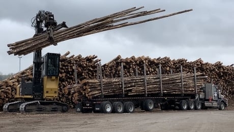Why a lumber price boon won't lead to a jobs boom at some Alberta sawmills