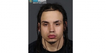 Man accused of using dog to lure young girls into Brooklyn building turns himself in