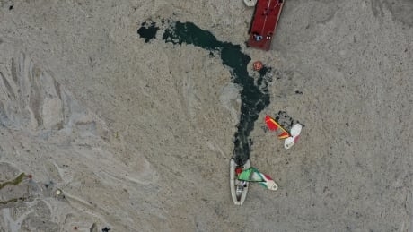 Marina blanketed by 'sea snot' marine mucilage in Istanbul