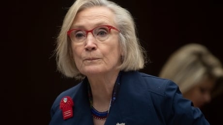 Ottawa promises 'transformative change' to address violence directed at Indigenous women and girls