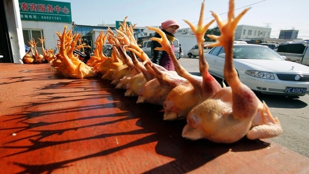 China reports 1st human case of H10N3 bird flu