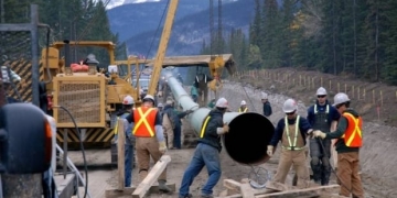 Energy Regulator orders Trans Mountain to stop tree clearing