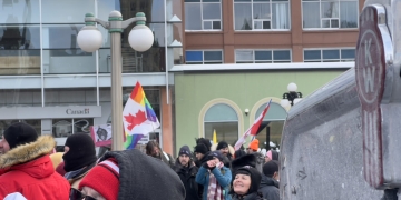 Opinion: The Fight for Freedom and Against Misinformation